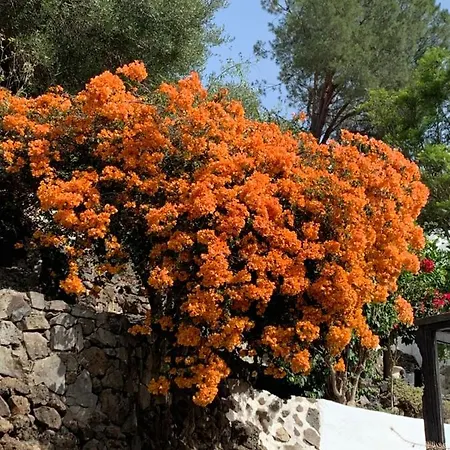 El Sosiego, Der Rueckzugsort Casa vacanze